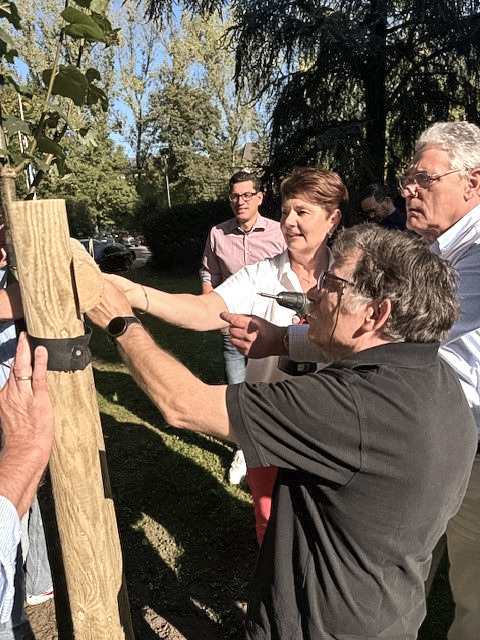 Pflanzaktion auf dem Außengelände der Jugendherberge Köln-Riehl