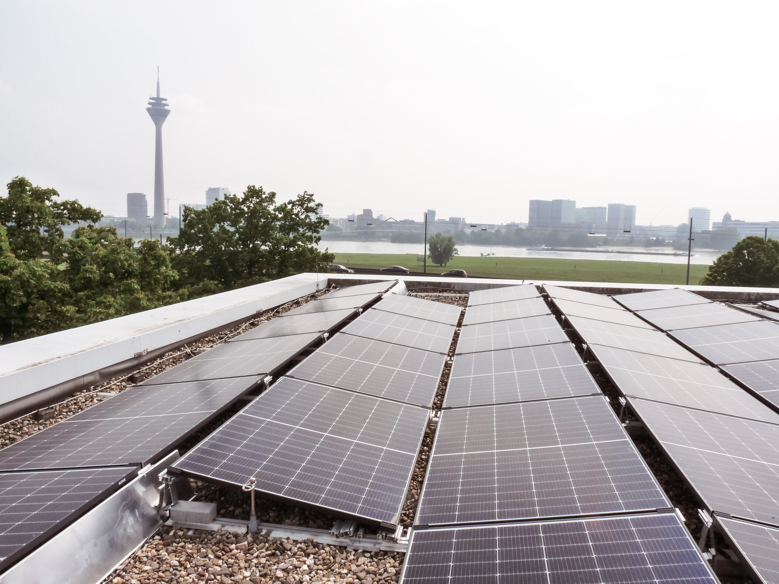 Photovoltaikanlage auf einem Dach mit Blick auf den Düsseldorfer Fernsehturm