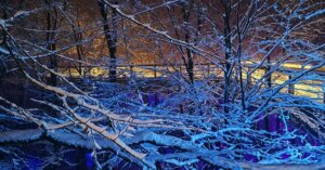 Schnee im Naturerebnispark Panarbora
