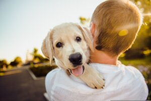 Ein Junge trägt einen Hund auf dem Arm.