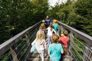Eine Gruppe von Kinder läuft über den Baumwipfelpfad in Panarbora. Ihnen zugewandt steht ein Mann und erklärt etwas.
