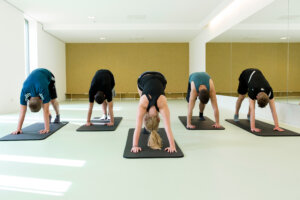 Fünf Personen bei der Ausführung der Yoga-Asana "herabschauender Hund"