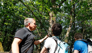 Wildhüter Patrick Mielke bei einer Führung über den Baumwipfelpfad