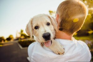 Ein Junge trägt einen Hund auf dem Arm.