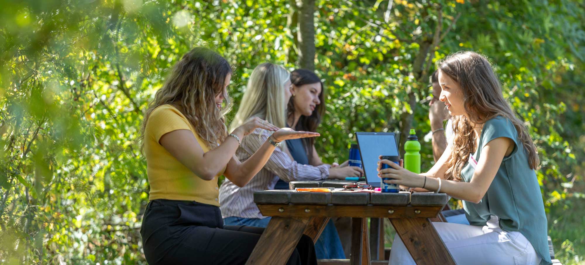 Mehrere Frauen sitzen im Wald am Picknicktisch und unterhalten sich. Auf dem Tisch stehen Laptops und Trinkflaschen.
